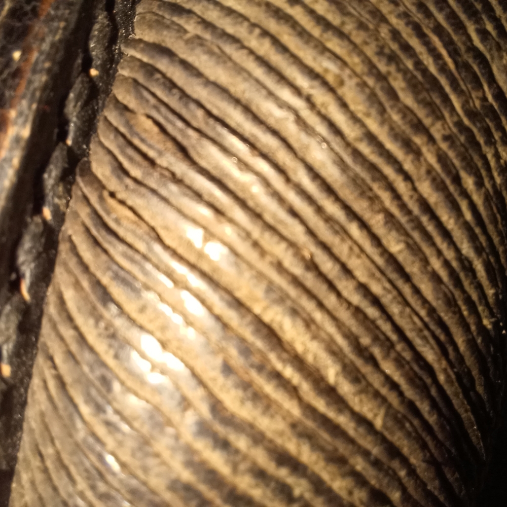 Frye Boots - Picture 7 of 7